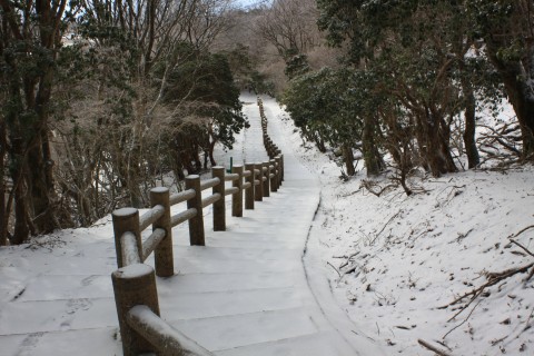 鶴見岳山上は雪景色と霧氷が観られます⛄