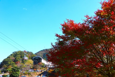 秋本番！鶴見岳の紅葉④（12：00撮影）